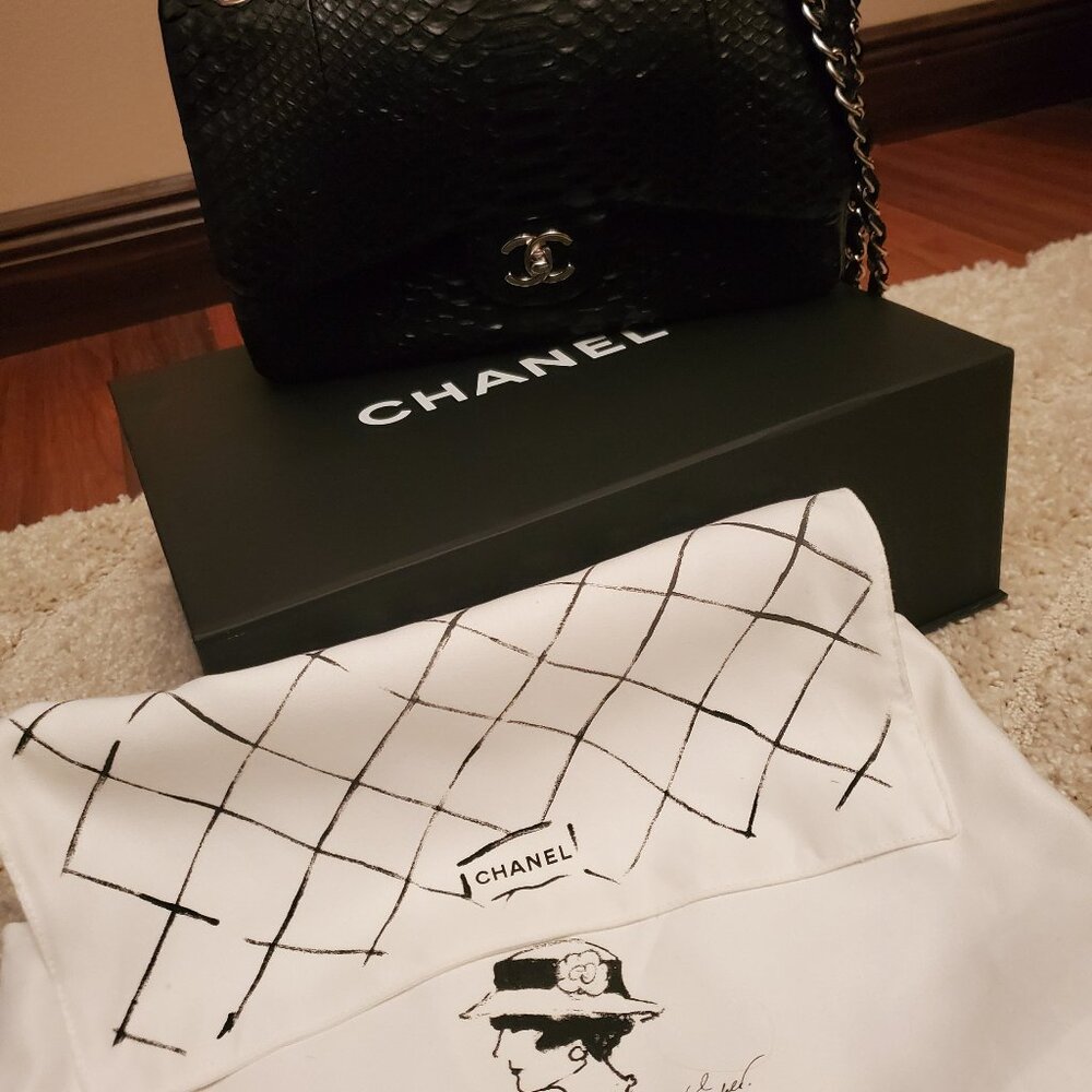 CHANEL Python Double Flap Bag with Silver Hardware